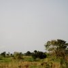 Malawi 024